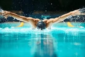 Fantasy Swimming: The Ultimate Sports Platform